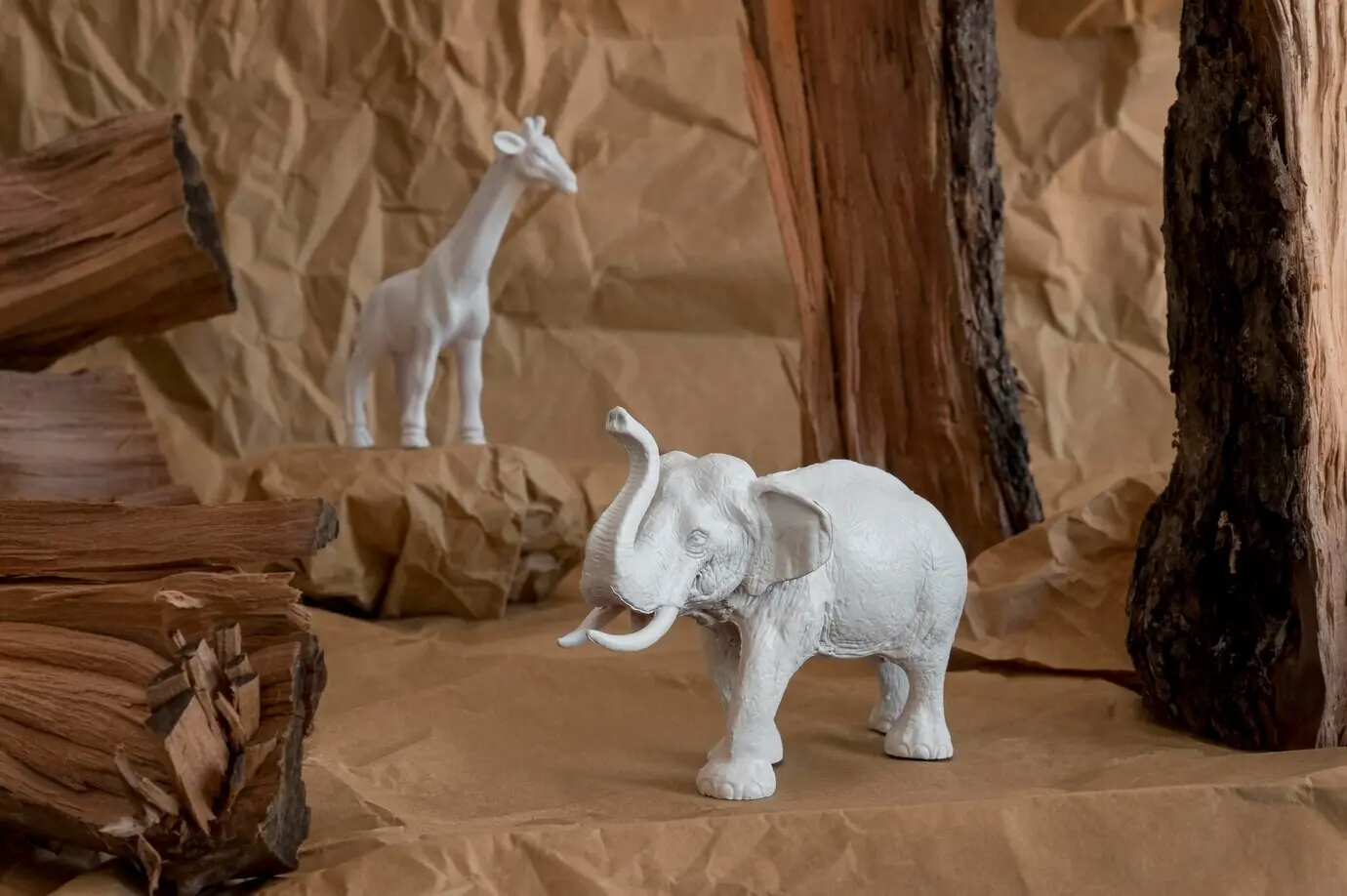 Zusammenstellung von Tieren in Vorderansicht